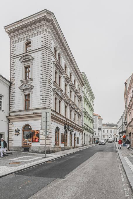 Carolina'S Yoga Apartment Hradec Králové Dış mekan fotoğraf